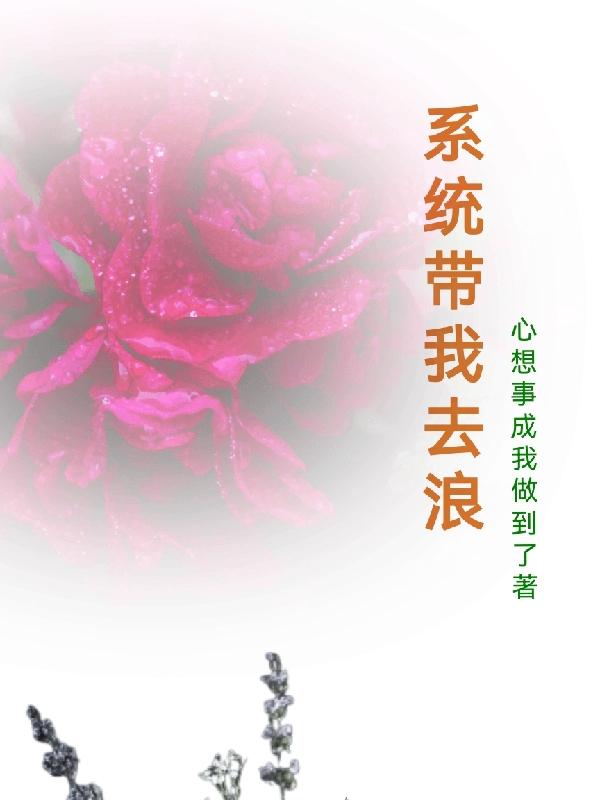 系统带我看风景